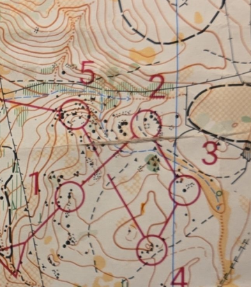 Orienteering